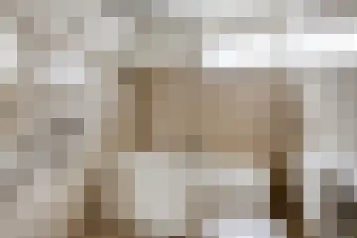 de Eik 18 Hoogerheide thumbnail 23