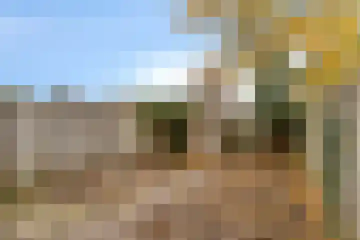 de Eik 18 Hoogerheide thumbnail 32