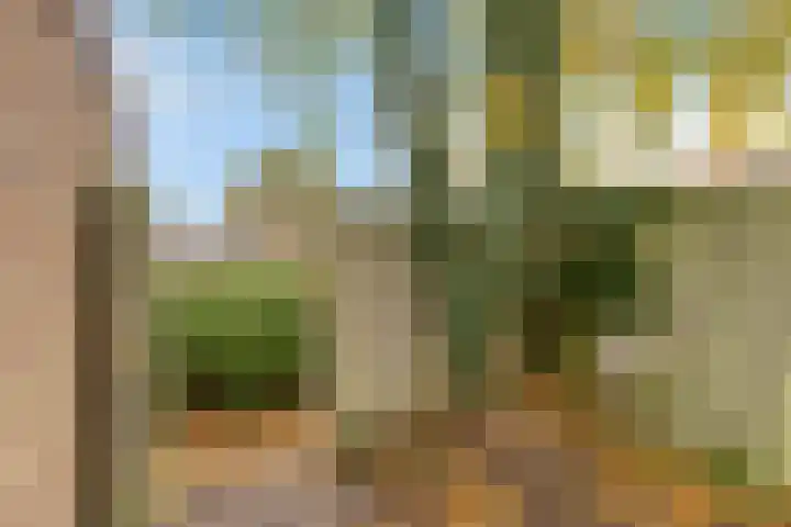 de Eik 18 Hoogerheide thumbnail 34