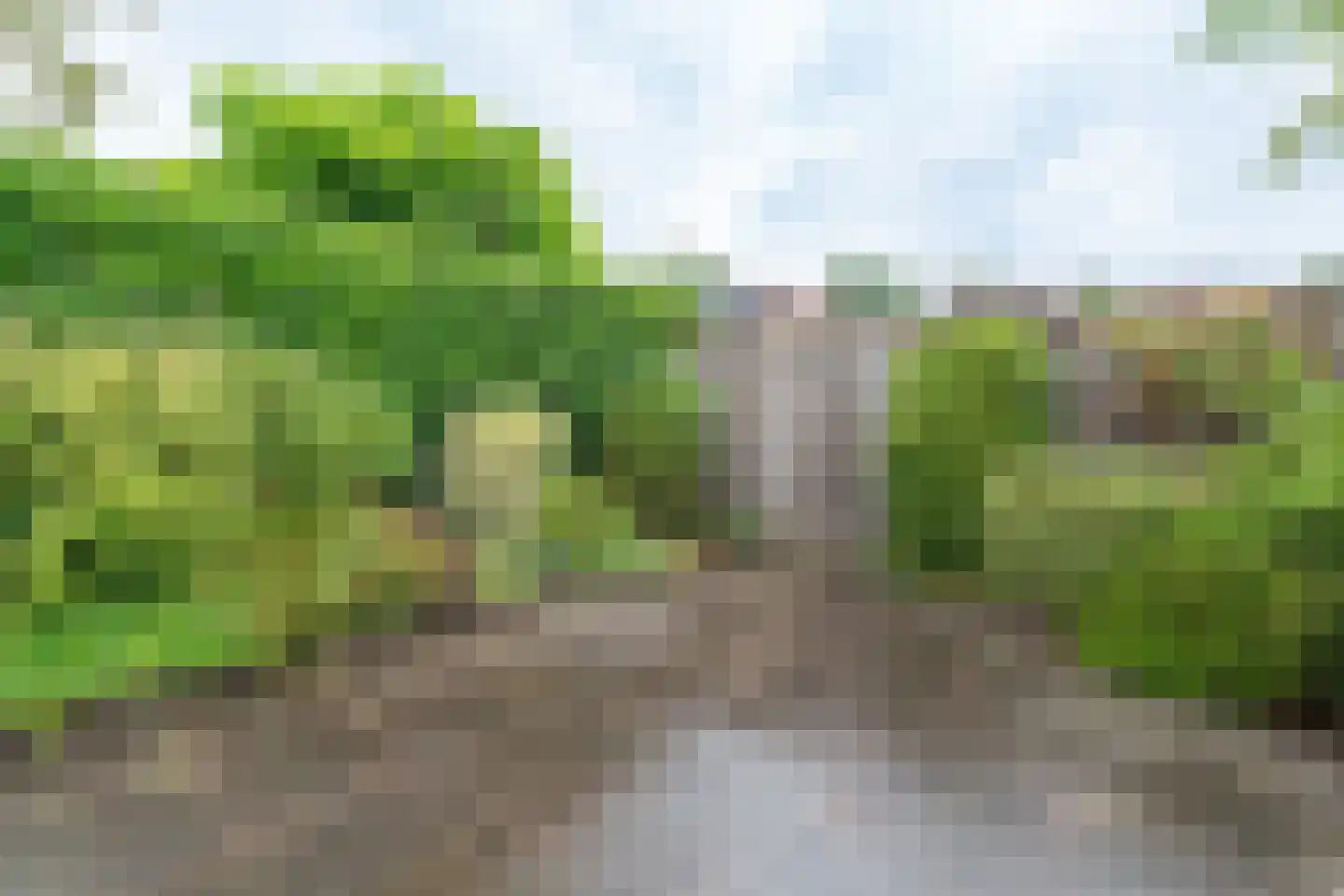 de Eik 2 Hellevoetsluis thumbnail 45