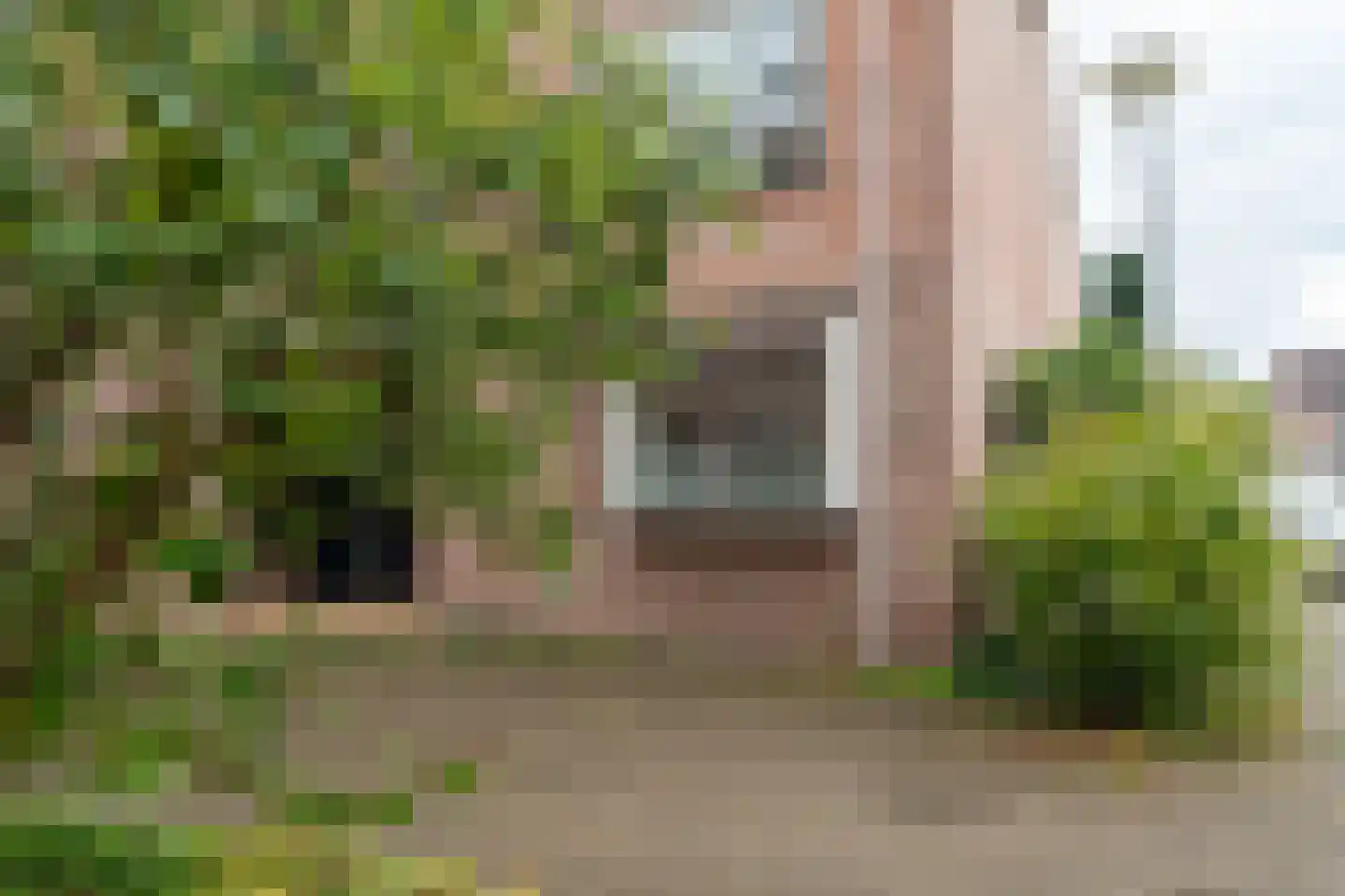de Eik 2 Hellevoetsluis thumbnail 48