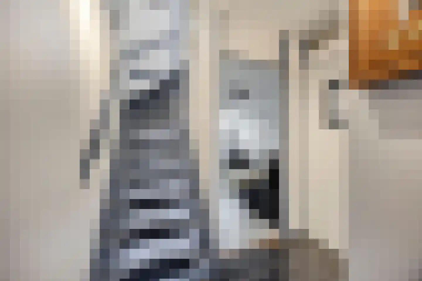De Eik 20 Rhoon thumbnail 11