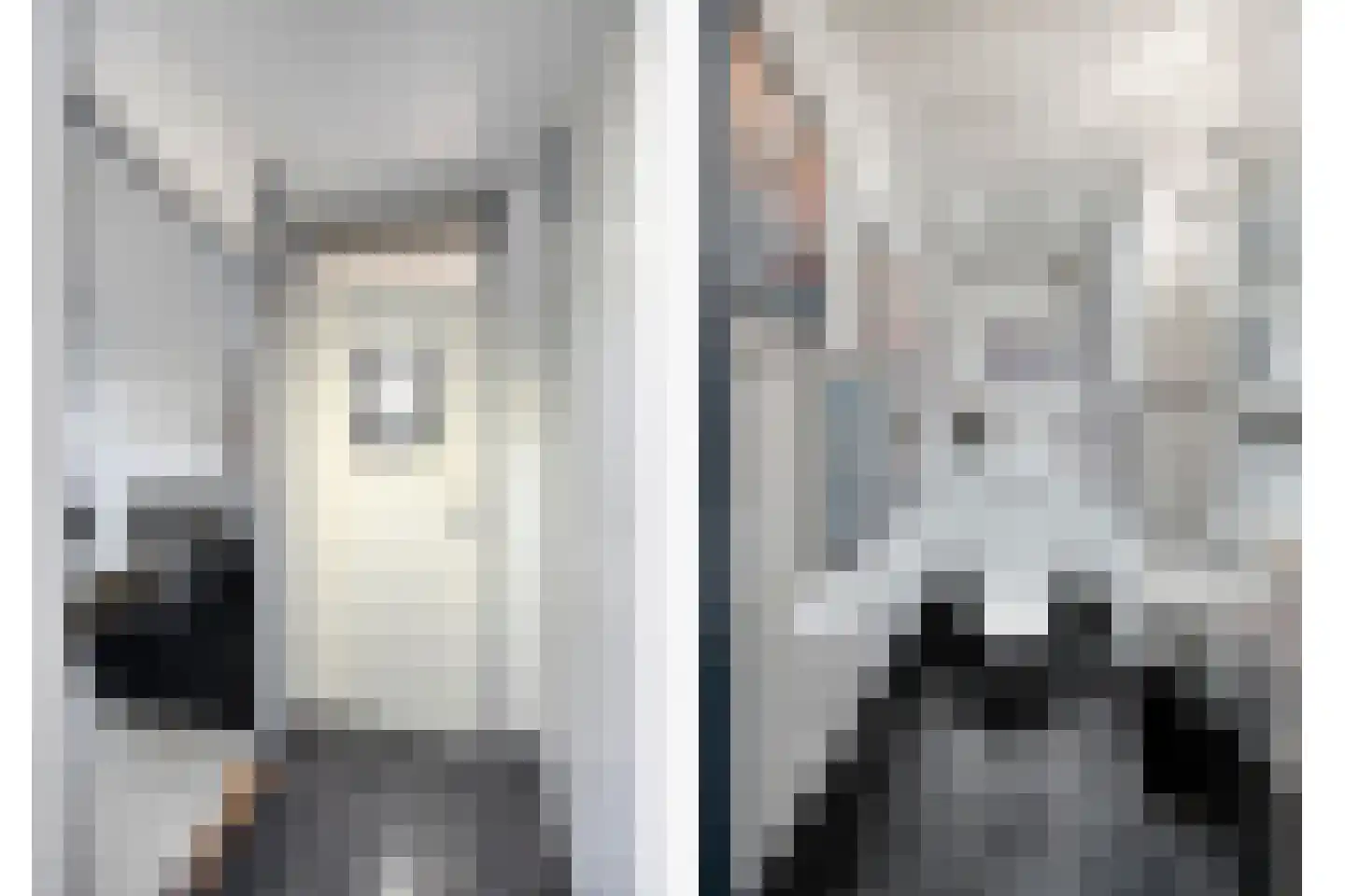 De Eik 20 Rhoon thumbnail 12