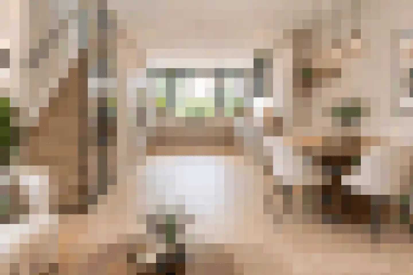 De Eik 20 Rhoon thumbnail 18