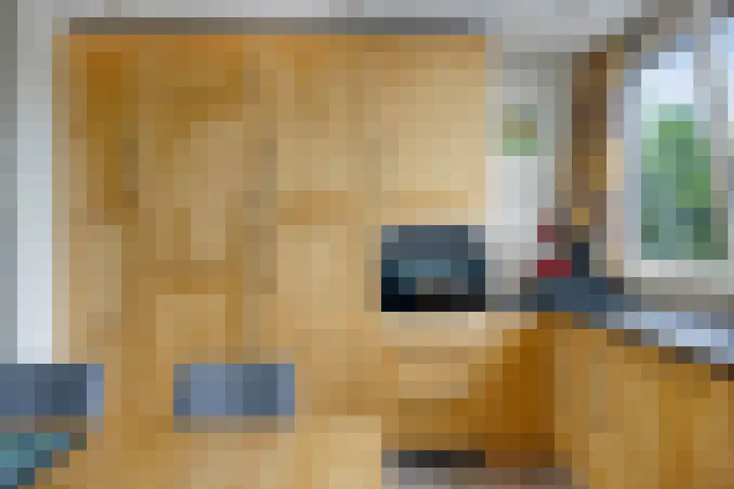 De Eik 20 Rhoon thumbnail 24