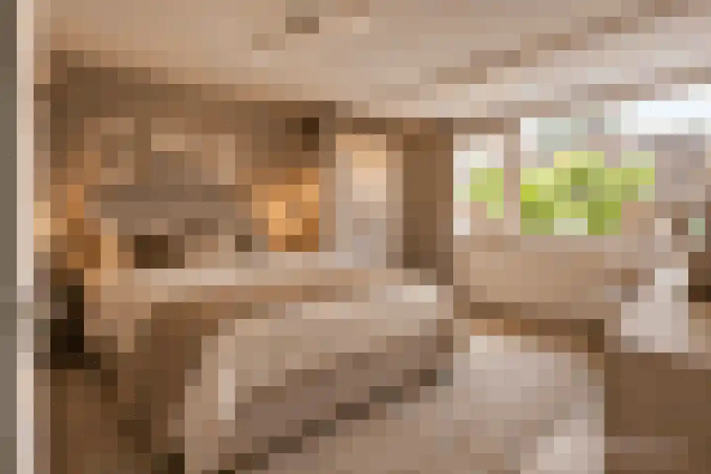 De Eik 20 Rhoon thumbnail 4