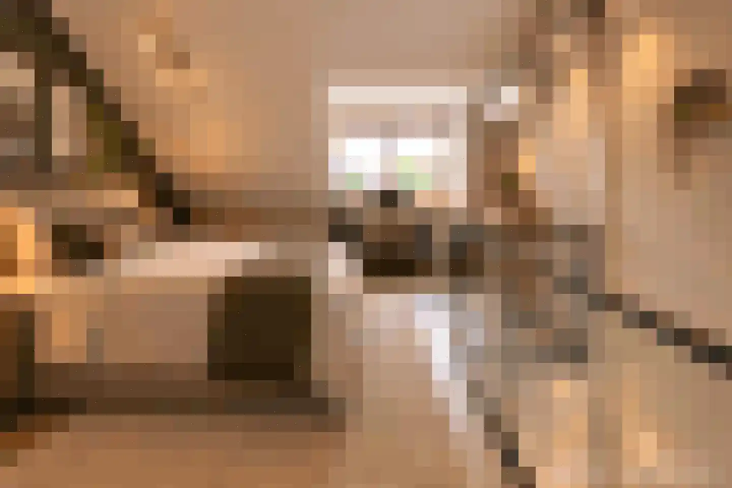 De Eik 20 Rhoon thumbnail 40