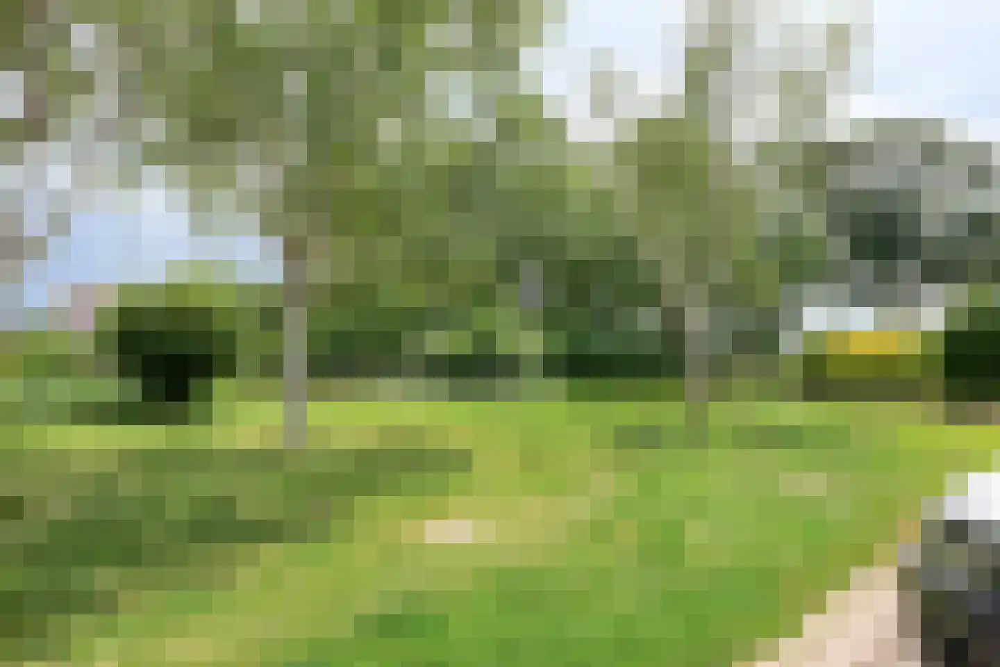 De Eik 20 Rhoon thumbnail 41