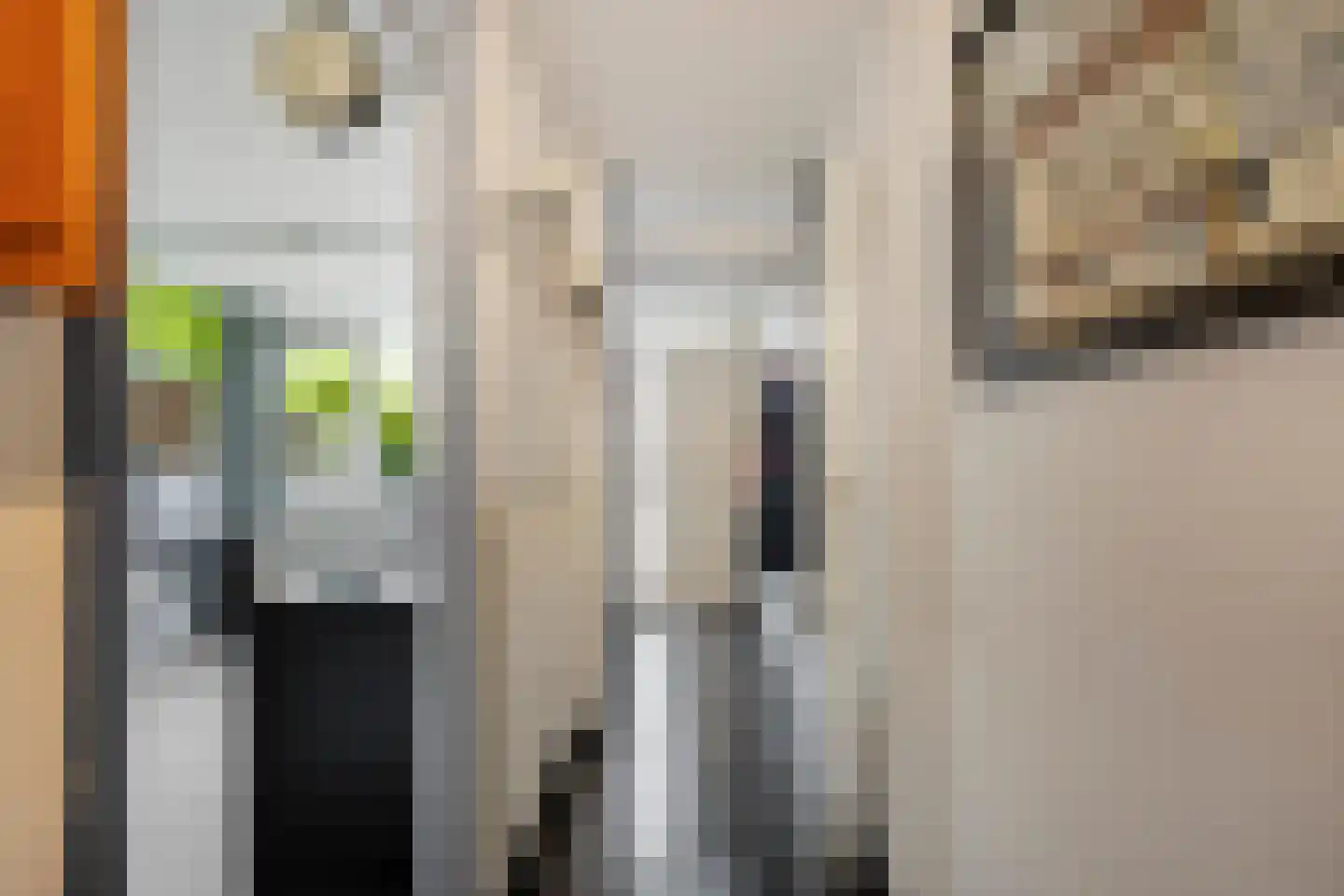 De Eik 20 Rhoon thumbnail 8