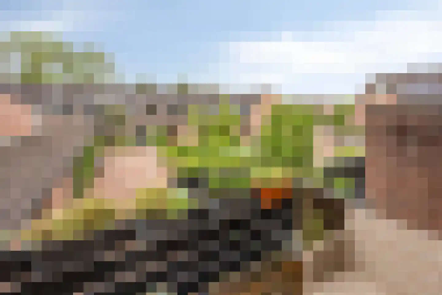 De Eik 24 Rhoon thumbnail 17