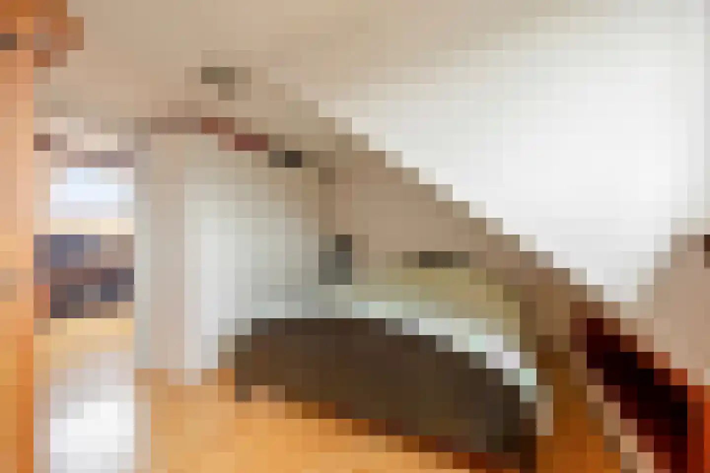 De Eik 24 Rhoon thumbnail 34