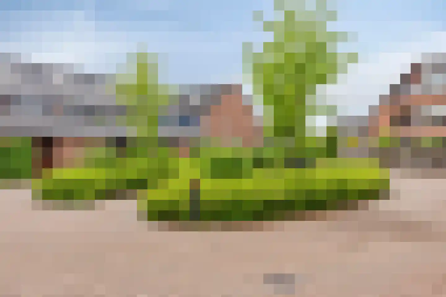 De Eik 24 Rhoon thumbnail 36