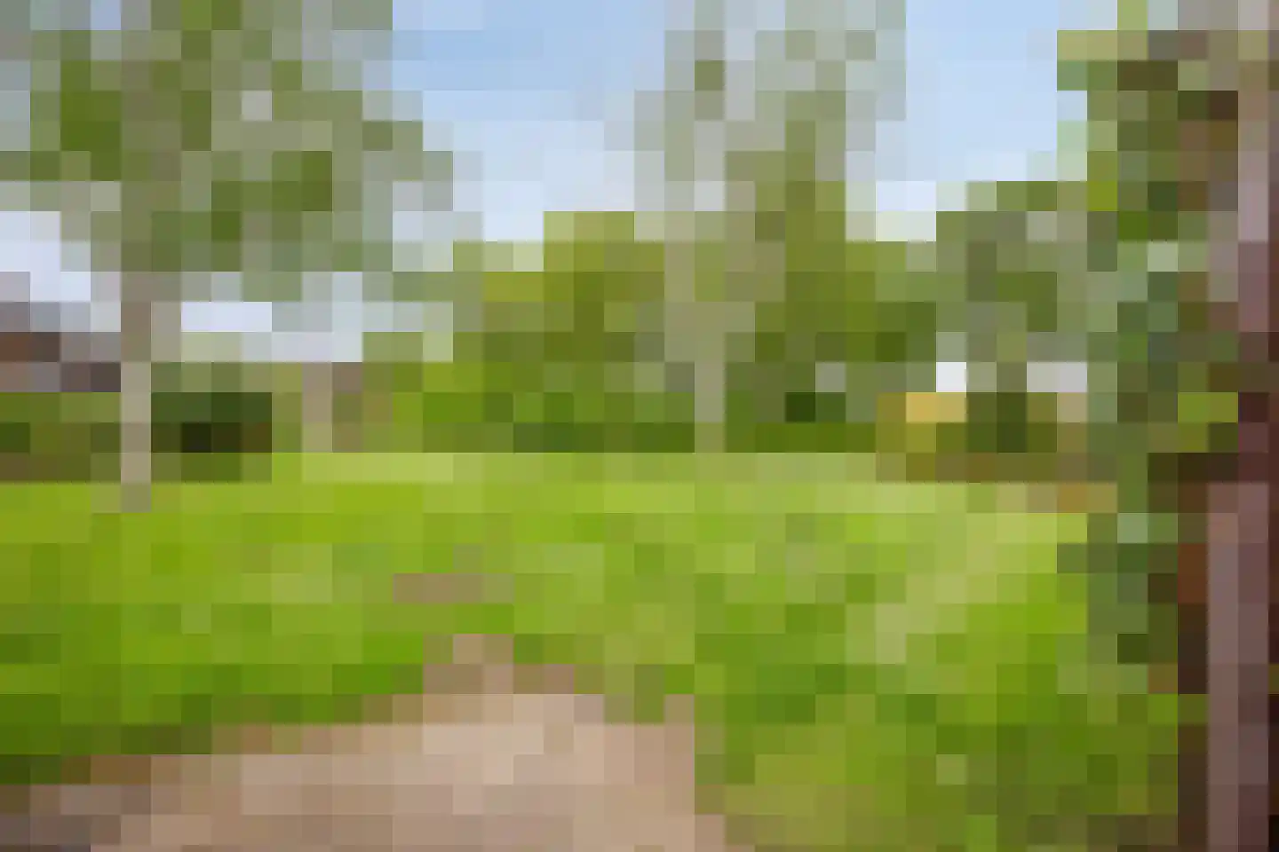 De Eik 24 Rhoon thumbnail 37