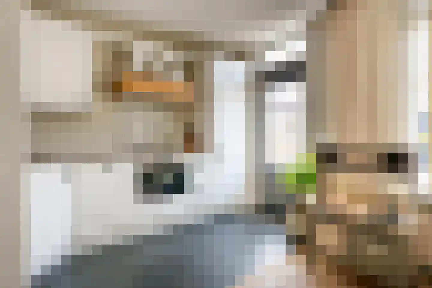de Eik 3 Hoogerheide thumbnail 10