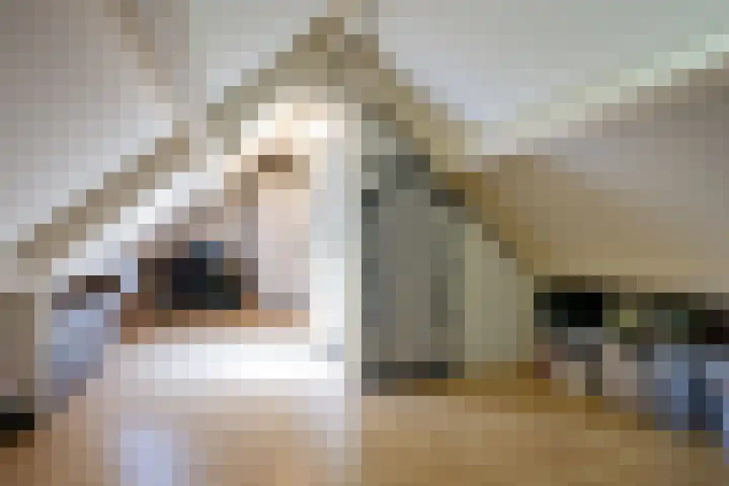 de Eik 3 Hoogerheide thumbnail 27