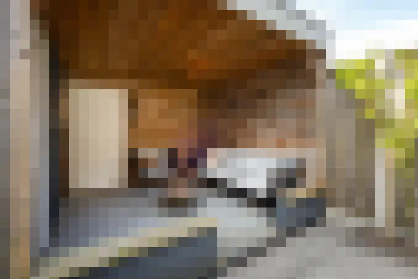 de Eik 3 Hoogerheide thumbnail 35