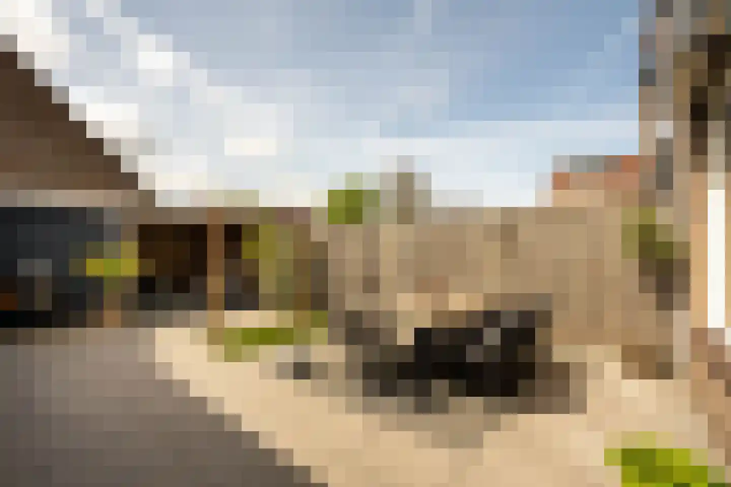 de Eik 3 Hoogerheide thumbnail 4