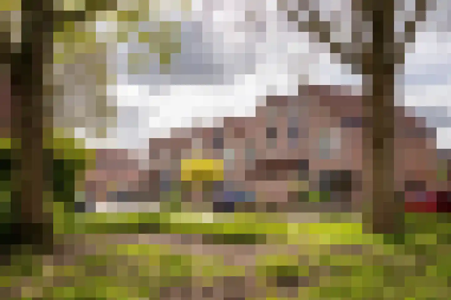de Eik 3 Hoogerheide thumbnail 40