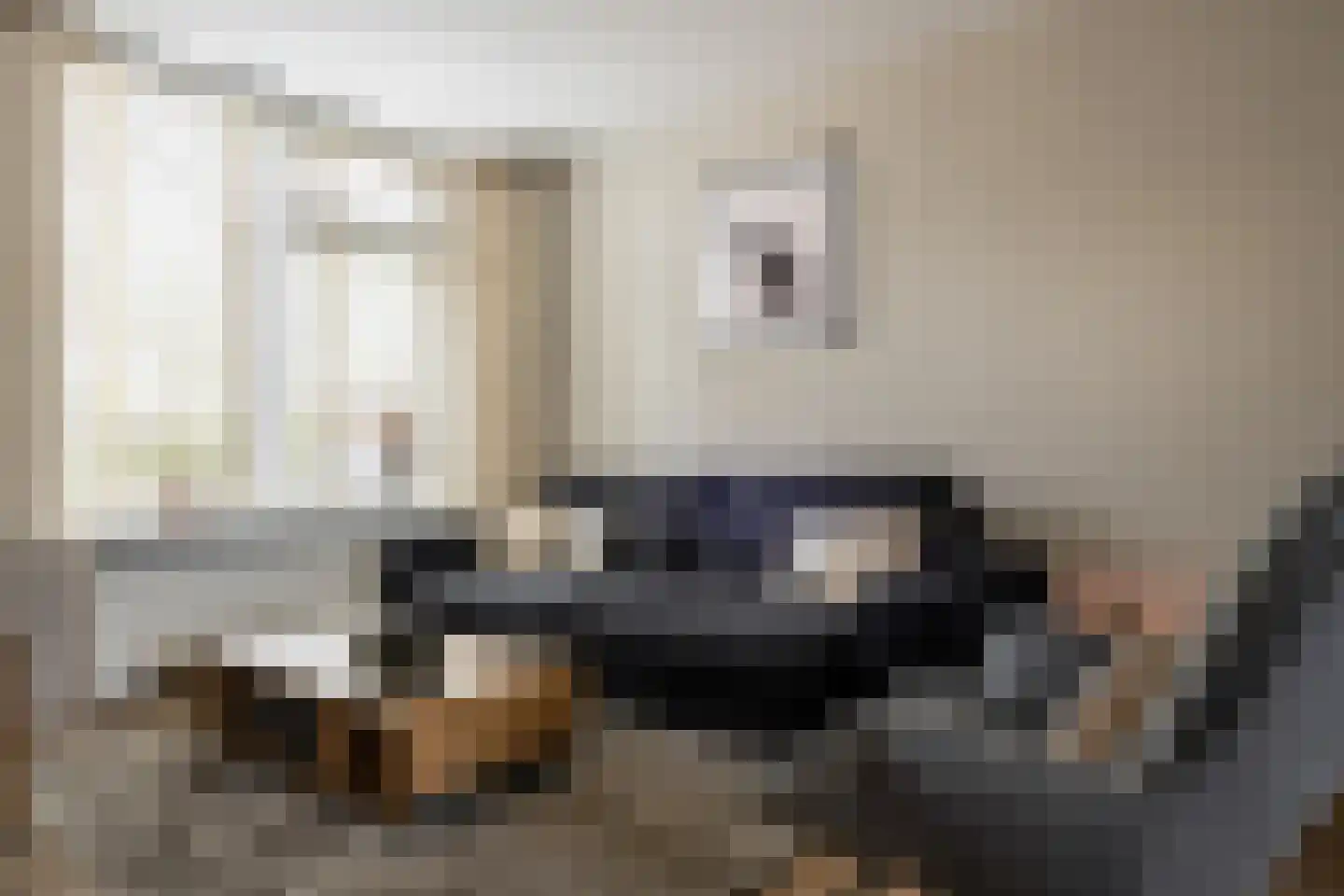 de Eik 3 Hoogerheide thumbnail 6