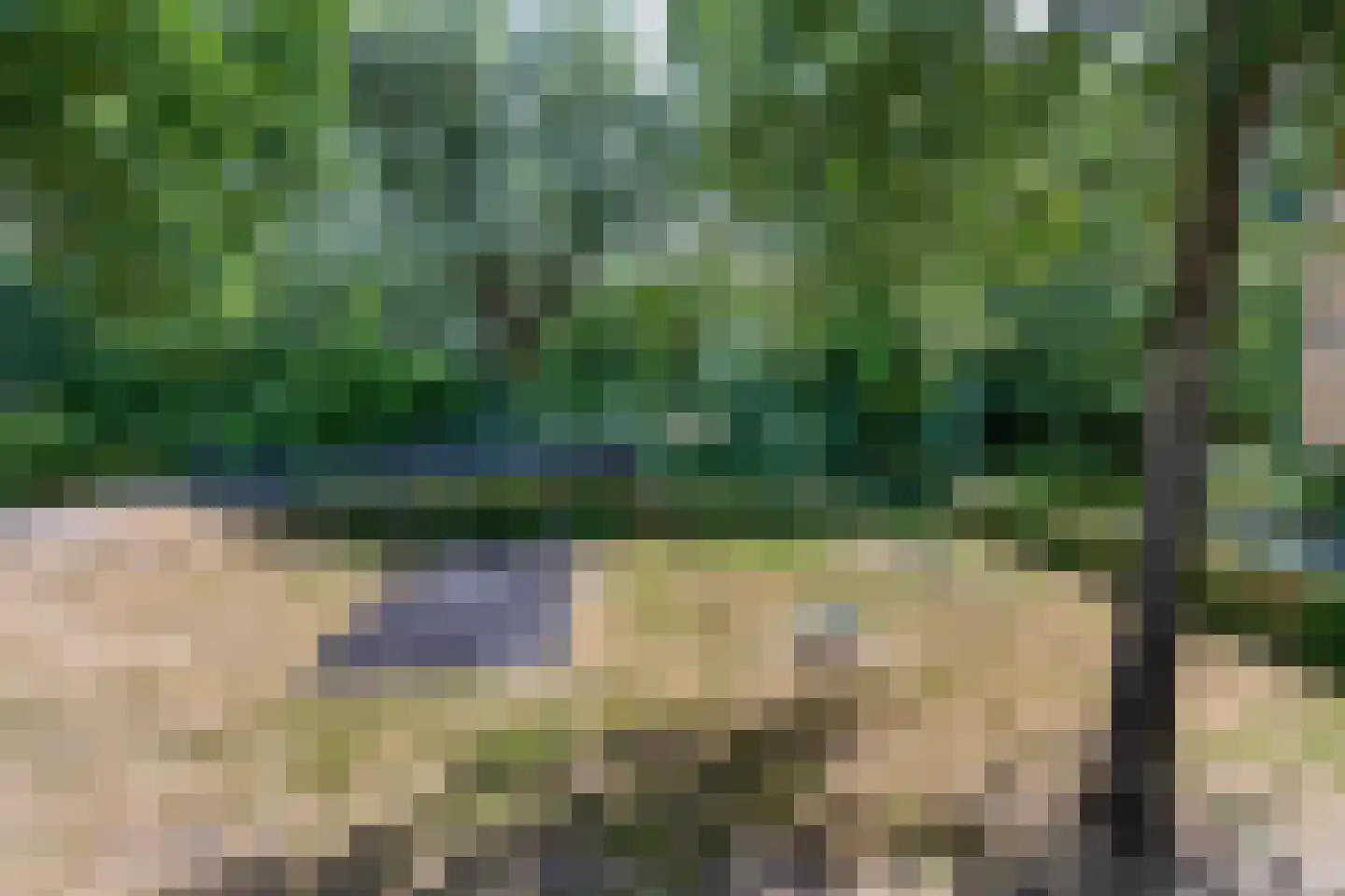 de Eik 45 Hellevoetsluis thumbnail 39