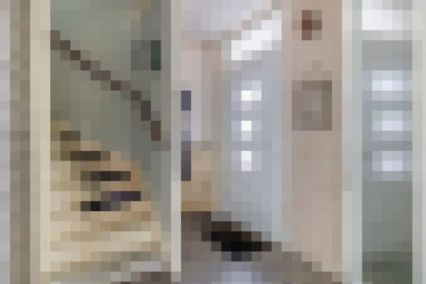 de Eik 45 Hellevoetsluis thumbnail 6