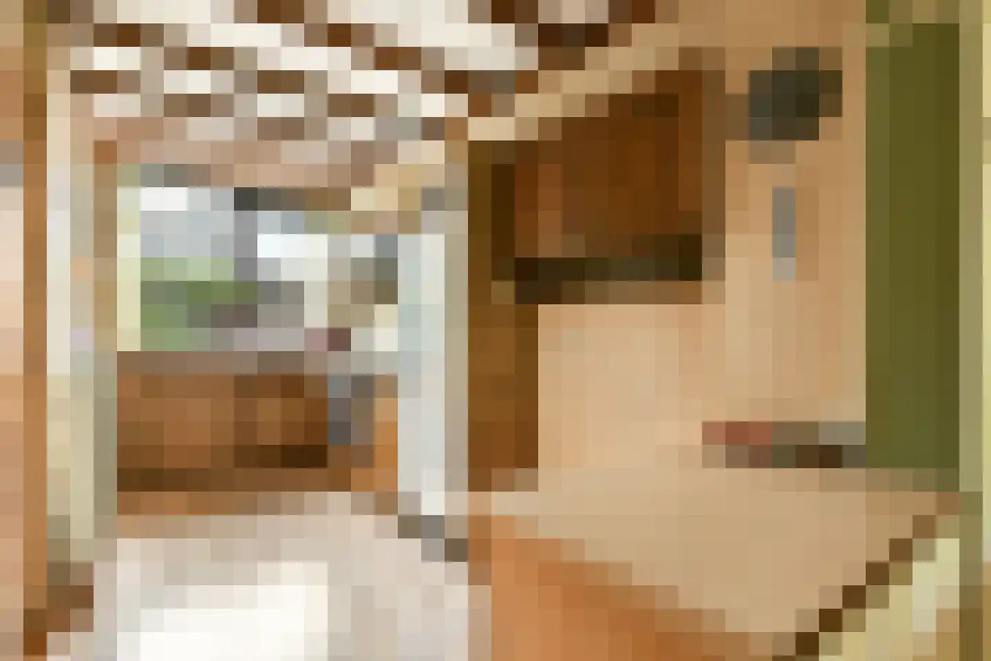 De Eik 55 Rhoon thumbnail 10