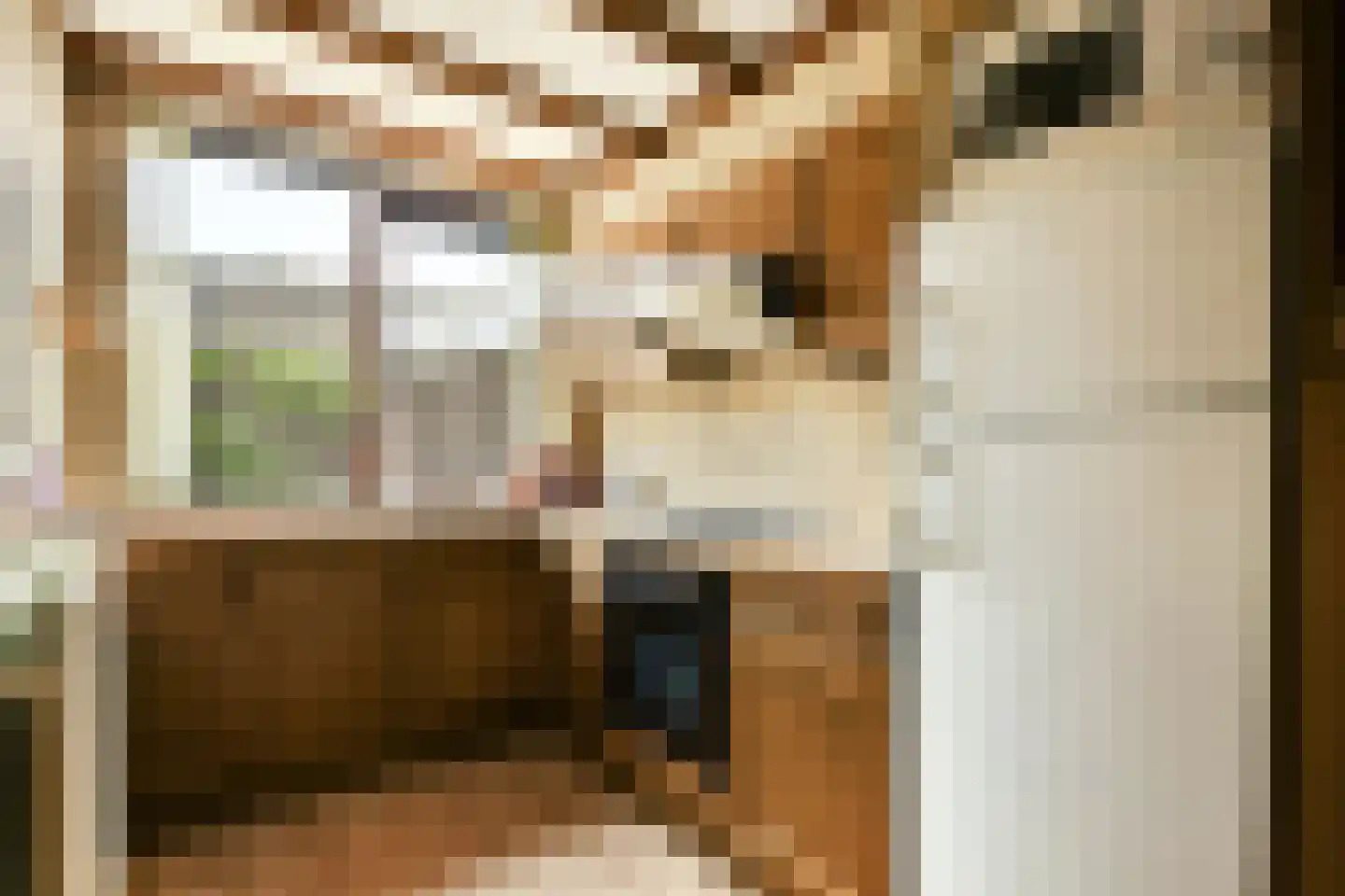 De Eik 55 Rhoon thumbnail 11