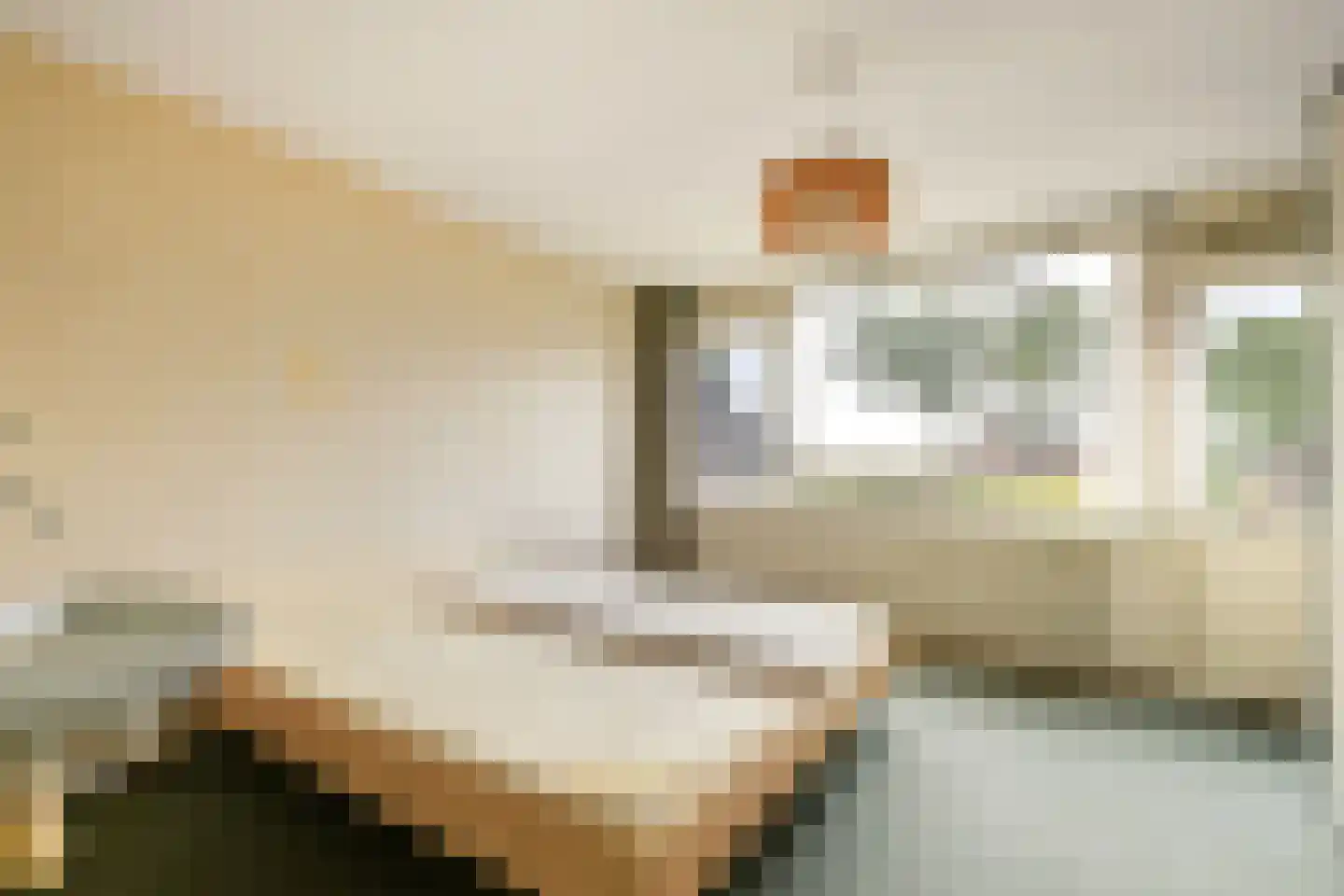 De Eik 55 Rhoon thumbnail 14