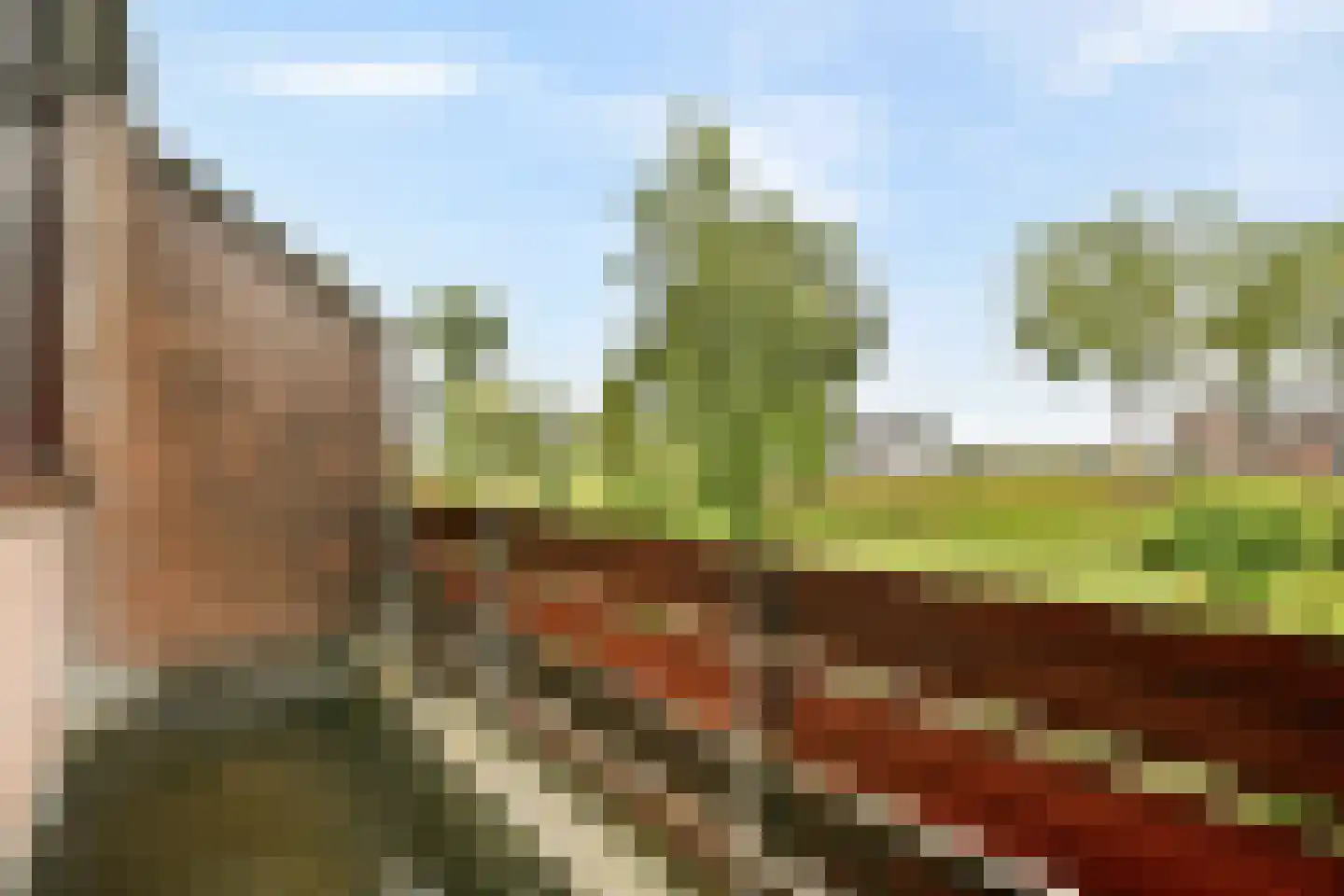 De Eik 55 Rhoon thumbnail 16
