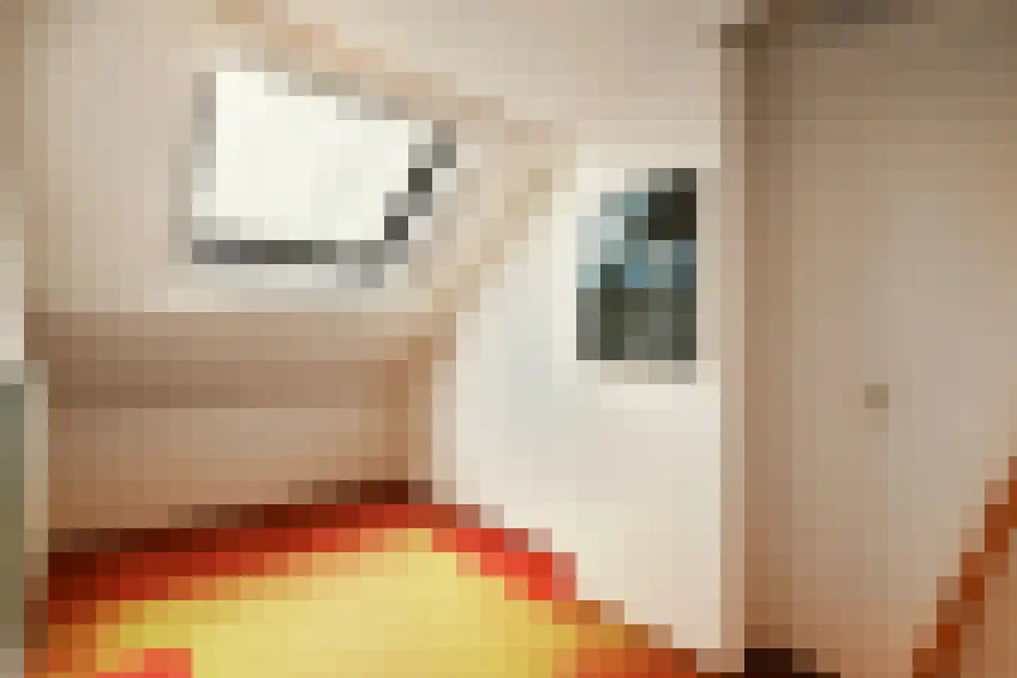 De Eik 55 Rhoon thumbnail 23