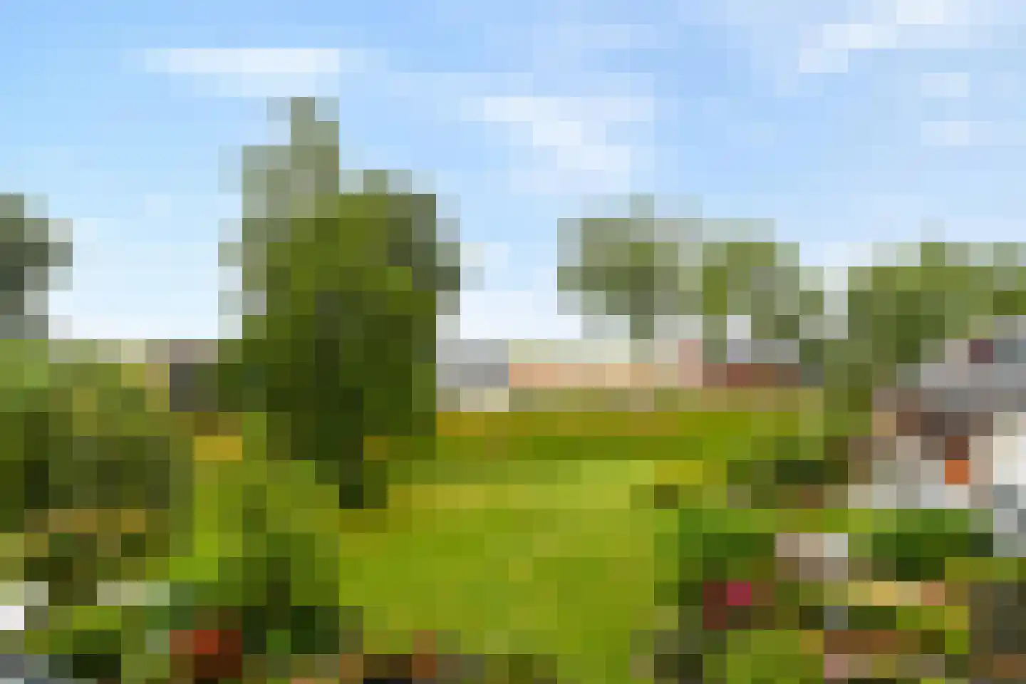 De Eik 55 Rhoon thumbnail 26