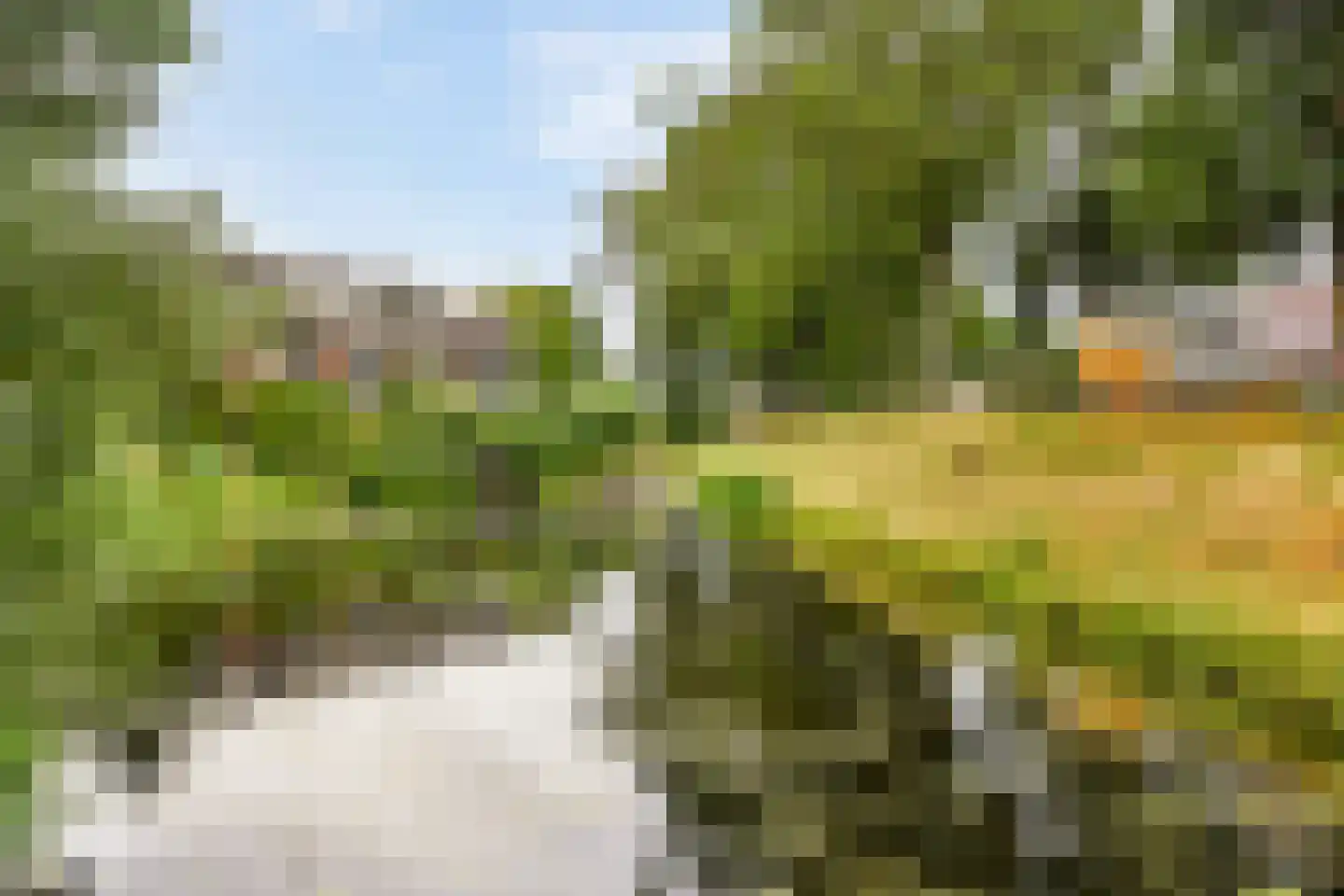 De Eik 55 Rhoon thumbnail 28