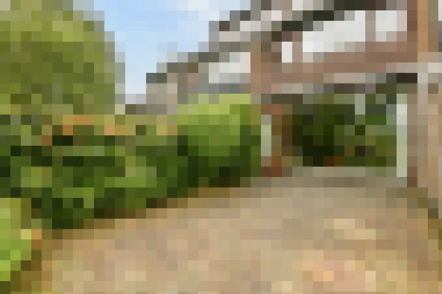De Eik 55 Rhoon thumbnail 29