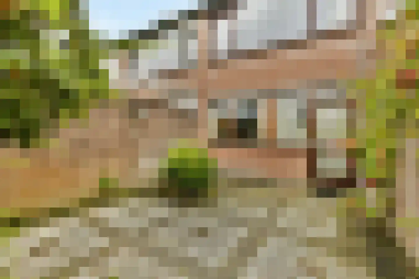 De Eik 55 Rhoon thumbnail 30