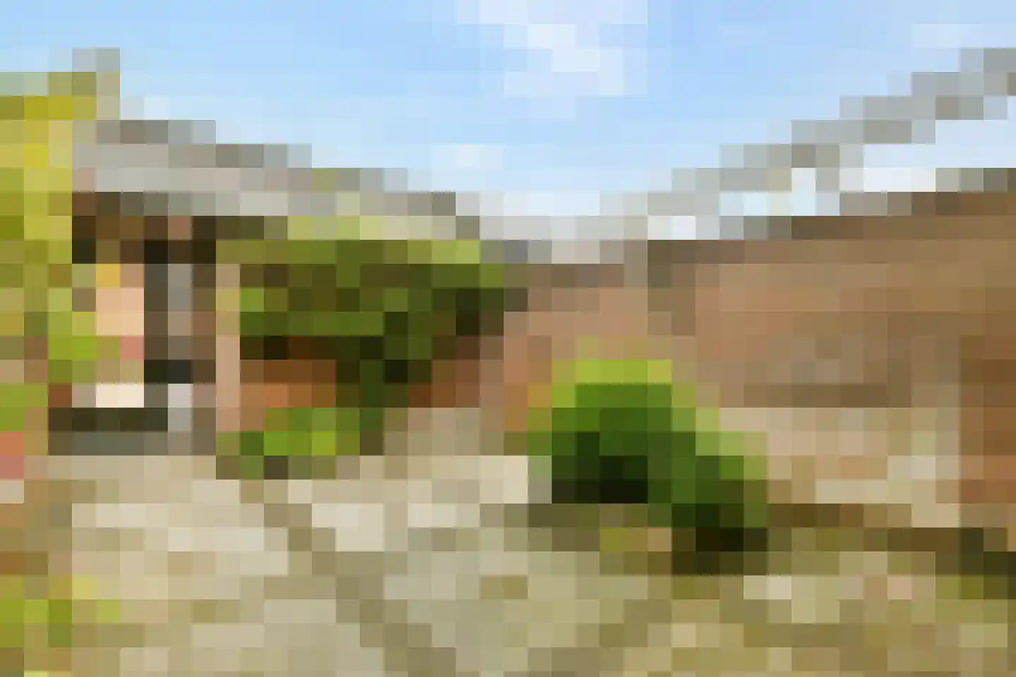 De Eik 55 Rhoon thumbnail 31