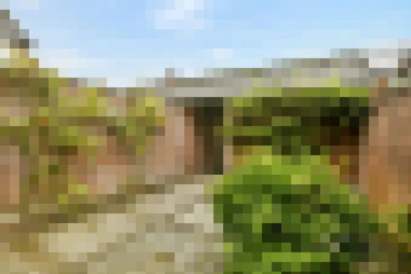 De Eik 55 Rhoon thumbnail 32