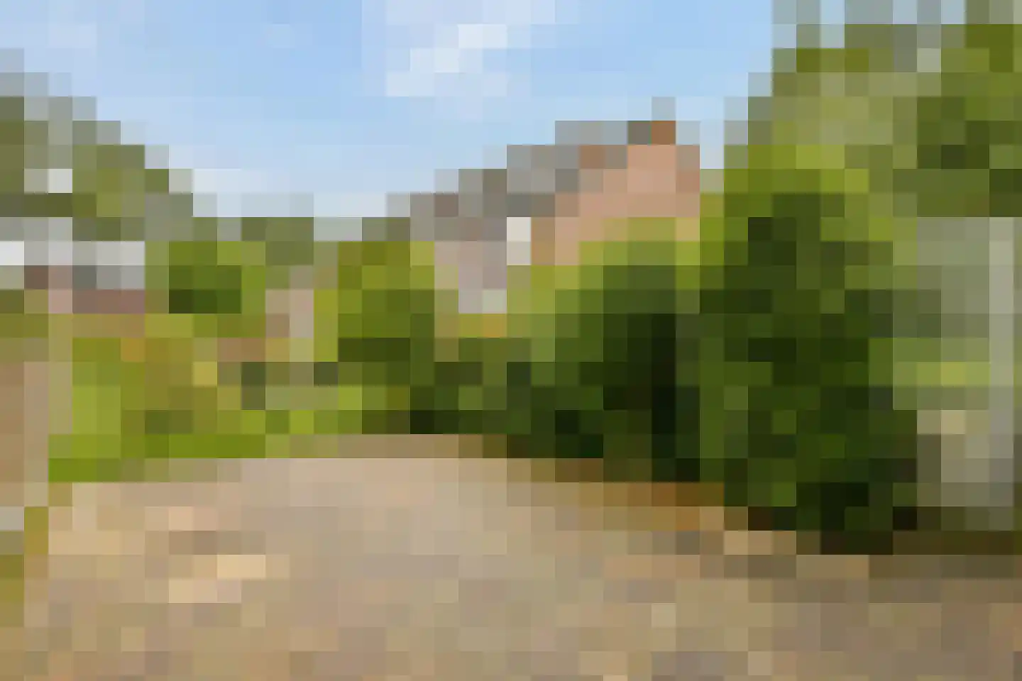 De Eik 55 Rhoon thumbnail 33