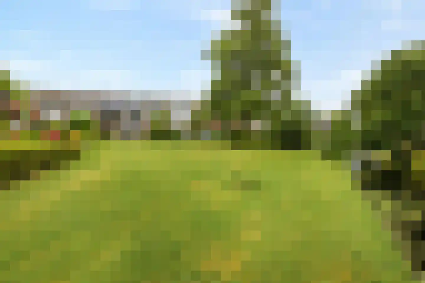 De Eik 55 Rhoon thumbnail 36