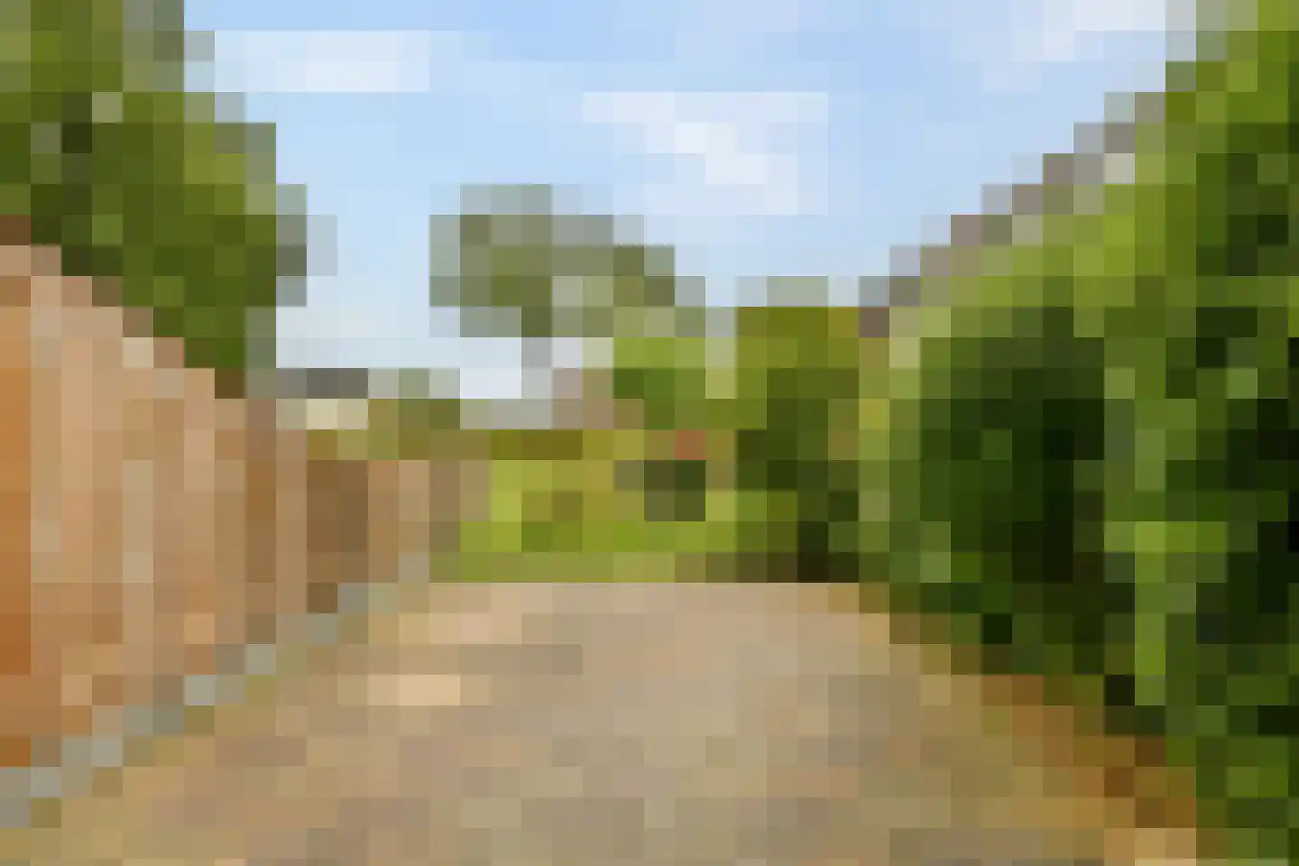 De Eik 55 Rhoon thumbnail 5