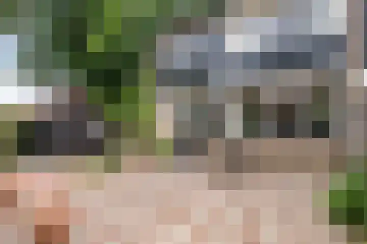 de Eik 69 Didam thumbnail 21