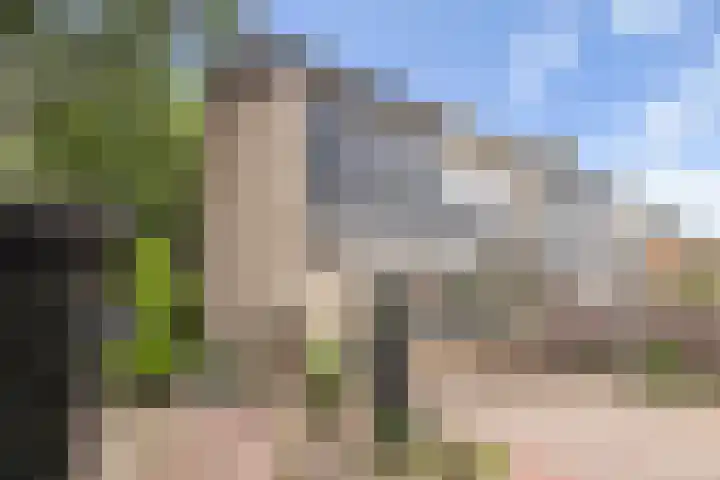 de Eik 69 Didam thumbnail 22