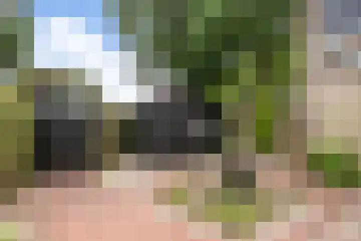 de Eik 69 Didam thumbnail 23