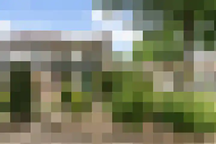 de Eik 69 Didam thumbnail 24