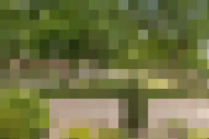 de Eik 69 Didam thumbnail 25