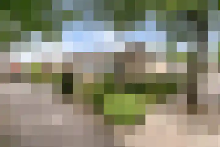 de Eik 69 Didam thumbnail 26