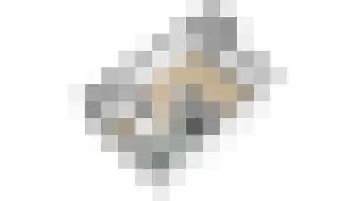 de Eik 69 Didam thumbnail 28