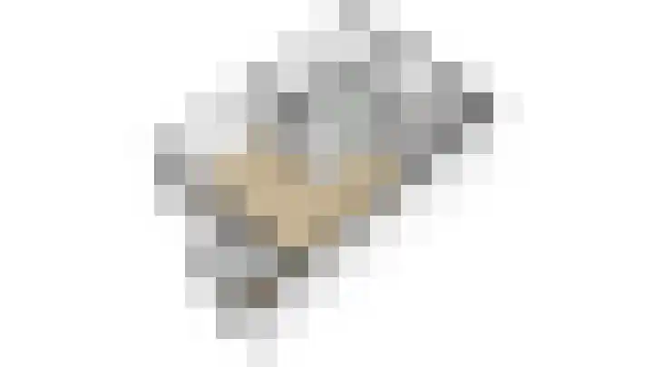 de Eik 69 Didam thumbnail 29