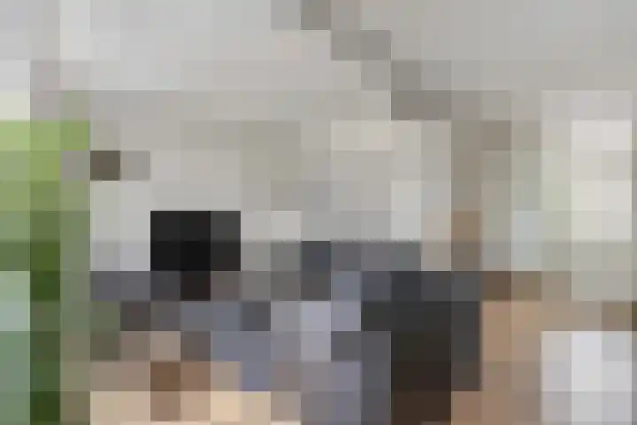 de Eik 69 Didam foto 3