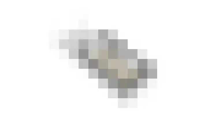 de Eik 69 Didam thumbnail 37