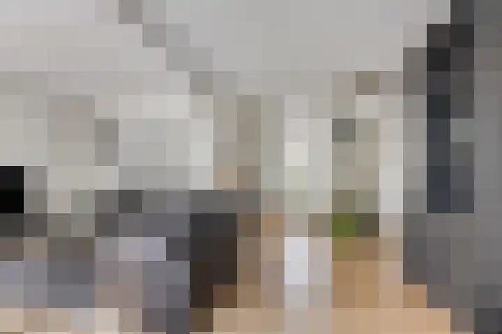 de Eik 69 Didam thumbnail 4